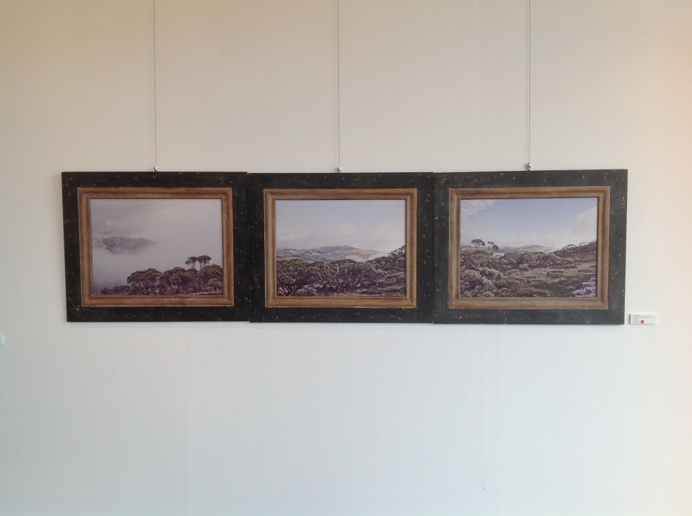 Australian Landscapes - Red Brick Gallery Australia landscapes; Polish Artists Victoria, Ballarat, Gold Museum, Goldfields Art, Sovereign Hill, Ballarat Artist Photographer, Aldona Kmiec