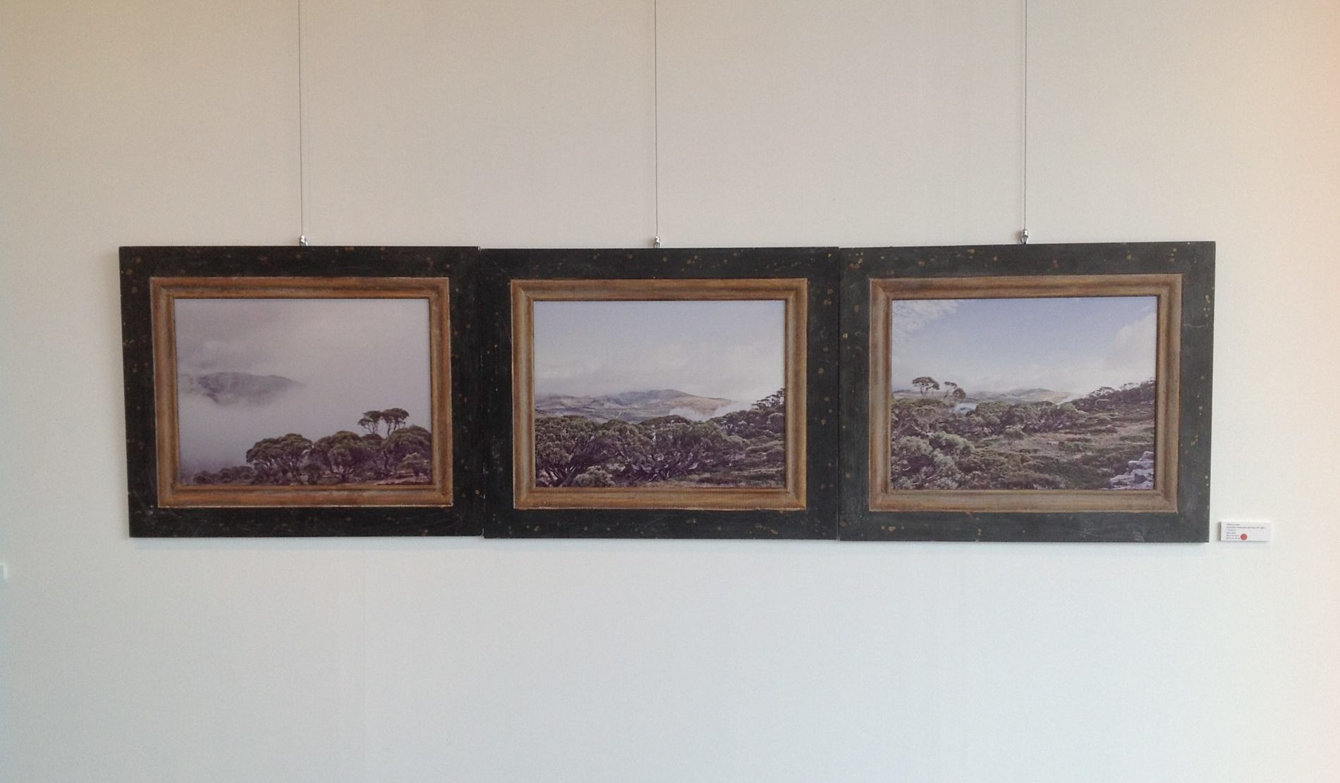 Australia landscape triptych Polish Artist Ballarat Gold Museum