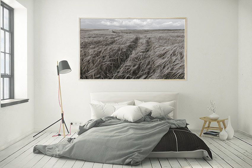 Triticale Fields wall art by Aldona Kmiec Ballarat Artist Limited Edition Print