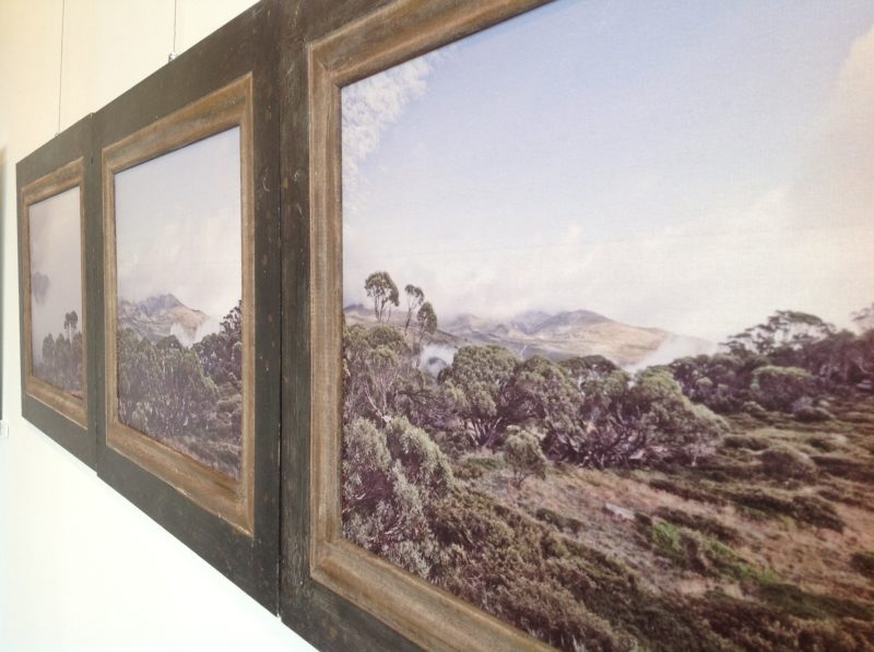 Snow Gums Kosciuszko National Park triptych artwork Ballarat Artist Aldona Kmiec